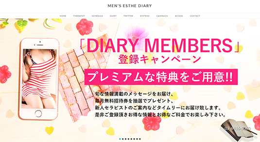 MEN'S-ESTHE-DIARY